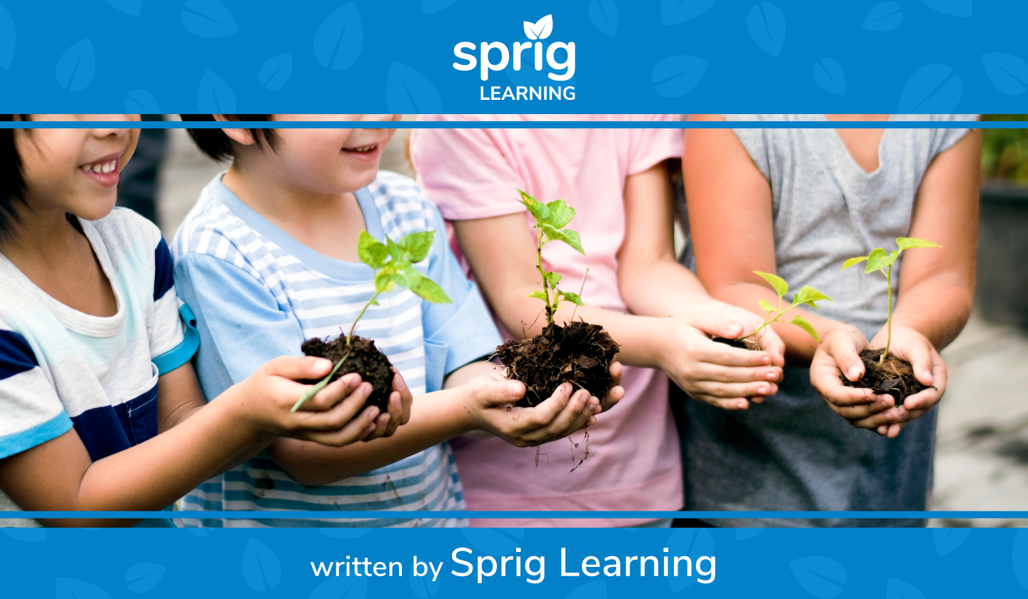 15 Characteristics of Holistic Learning — Sprig Learning