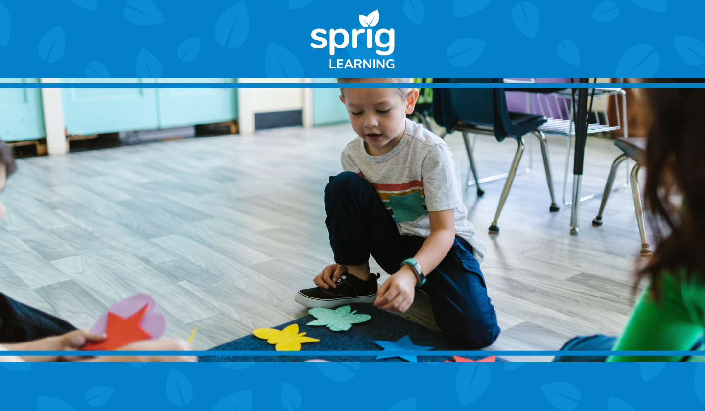 Designing The Best Assessments in Early Childhood Education — Sprig ...