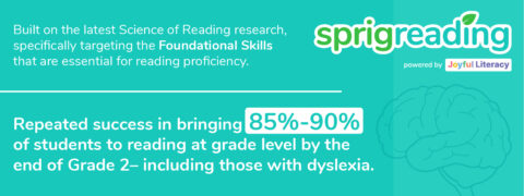 How To Help Students With Dyslexia — Sprig Learning